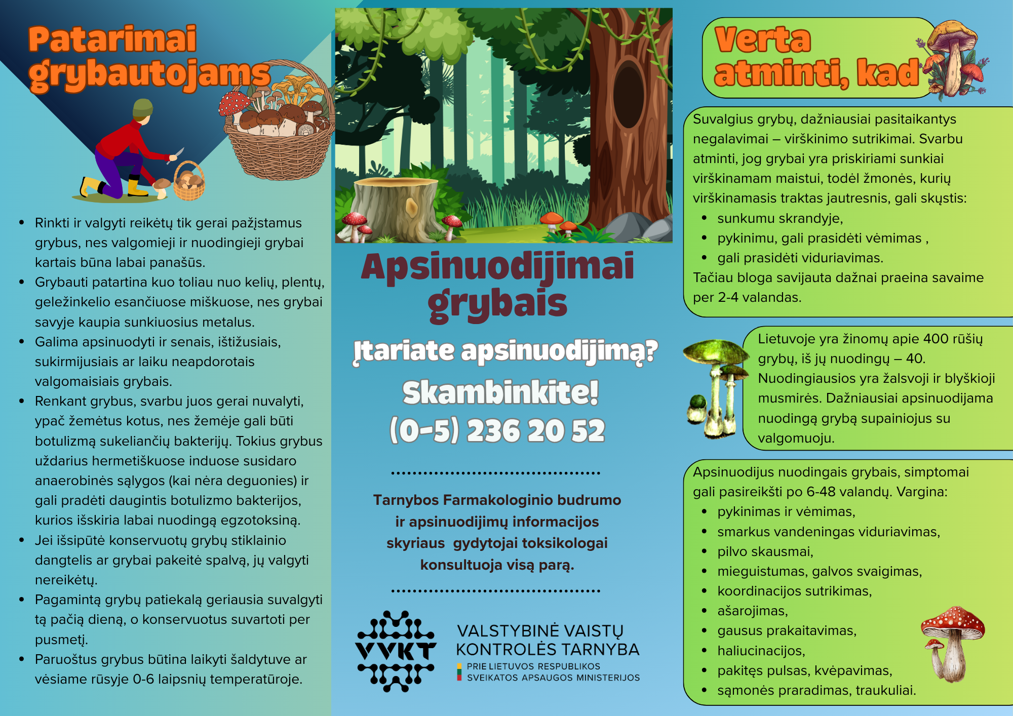 Apsinuodijimai grybais.png